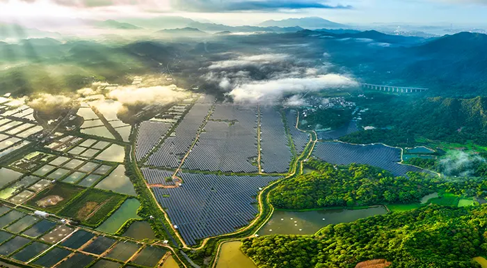 广东潮州 49.05MW 光伏组件项目